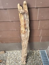 Treibholz wurzel ast gebraucht kaufen  Schwäbisch Hall