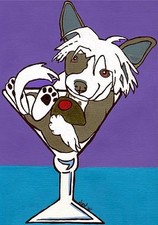 13x19 chinese crested for sale  Broomfield