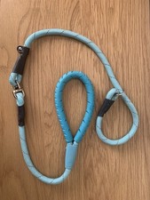 Baby blue dog for sale  BALA