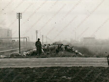 1955 adria panorama usato  Cremona