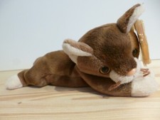 Beanie katze pounce gebraucht kaufen  Obernzenn