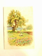 Victorian advertising card for sale  New Bloomfield