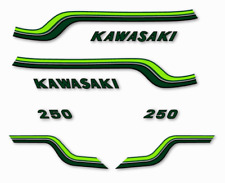 Kawasaki 250 kit d'occasion  Nîmes