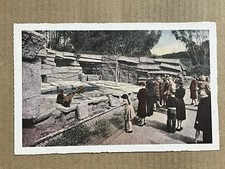 Cartão postal San Francisco CA Califórnia Fleishhacker zoológico playground ursos vintage comprar usado  Enviando para Brazil