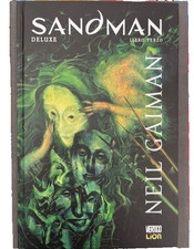 Sandman deluxe vol.3 usato  Rivoli