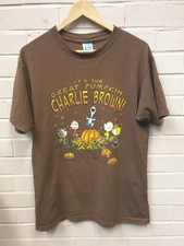 Vintage peanuts charlie for sale  NOTTINGHAM