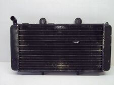 Radiateur aprilia 650 d'occasion  Neuves-Maisons