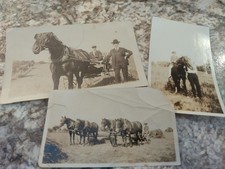 Antique photo lot for sale  Cape Coral