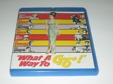 Way go blu for sale  Windsor Mill