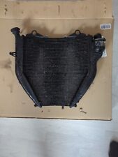 Bmw k1300r kühler gebraucht kaufen  Stuttgart