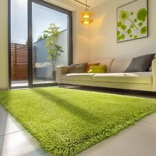 Shaggy area rug for sale  USA