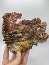 Dendritic native copper for sale  Snohomish