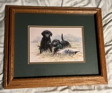 Labrador retriever puppies for sale  Lenox
