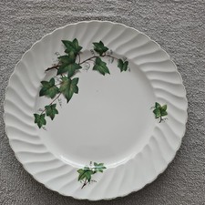 Swinnertons somerset ivy for sale  MARGATE
