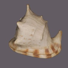 Horned king helmet for sale  Athens