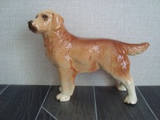 labrador retriever for sale labrador retriever for sale STOCKPORT