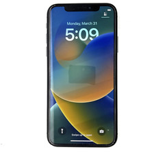 Apple iPhone X 256GB [A1865] Cinza Espacial (Desbloqueado) Com Defeito - Leia a Descrição comprar usado  Enviando para Brazil