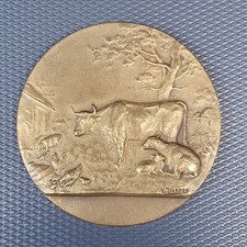 Médaille bronze dropsy d'occasion  Beauvois-en-Cambrésis