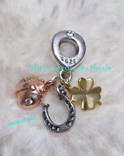 Charm pendente portafortuna usato  Settingiano