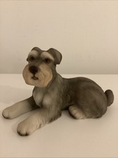 Hhh schnauzer harvey for sale  CLECKHEATON