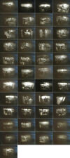 8mm film privatvon gebraucht kaufen  Uetze