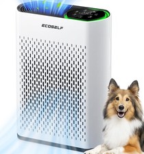 Air purifier home for sale  Smithfield