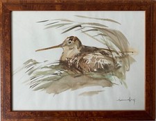 Aquarell waldschnepfe scolopax gebraucht kaufen  Graal-Müritz, Seeheilbad