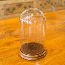 Small vintage display for sale  EXETER