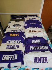 Minnesota vikings nfl for sale  Webster