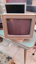 Monitor vintage ibm usato  Cavezzo