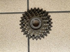 Pignone ruota libera usato  Busto Garolfo