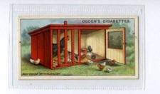 Ogdens poultry rearing for sale  WITHERNSEA