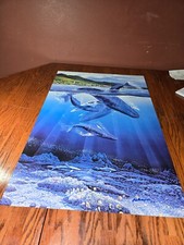 Signed robert lyn for sale  Mount Vernon
