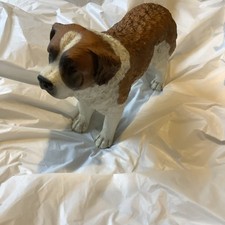 North light dog for sale  MANCHESTER