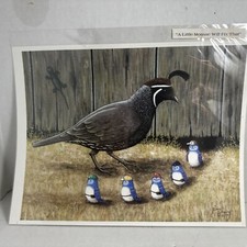 Blues birding farm for sale  Newport