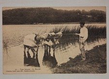 Postcard hitch basque d'occasion  Expédié en Belgium