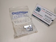 T2081623 original triumph usato  Conversano