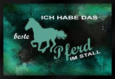 Fußmatte schmutzfangmatte bes gebraucht kaufen  Limbach-Oberfrohna