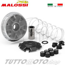 Variatore malossi kymco usato  Amantea