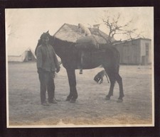 Antique dog riding for sale  San Diego