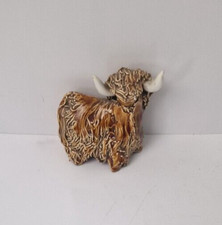 Small highland bull for sale  ILFRACOMBE