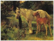 Sunlight leaves mare for sale  BARNSLEY
