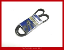 Cinghia poly fiat usato Cinghia poly fiat usato  Siracusa