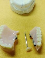 Devided denture dental d'occasion  Expédié en France