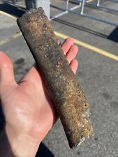 Nice fossilized extinct for sale  Rocky Mount