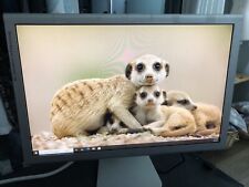 Tela LCD de cinema Apple 20" widescreen | A1081- Testada comprar usado  Enviando para Brazil