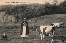 Old postcard country d'occasion  Expédié en Belgium