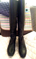 Ariat english field for sale  Los Gatos