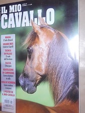 Mio cavallo 2016 usato Mio cavallo 2016 usato  Campagna