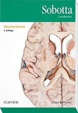 Sobotta lernkarten neuroanatom gebraucht kaufen  Neumünster
